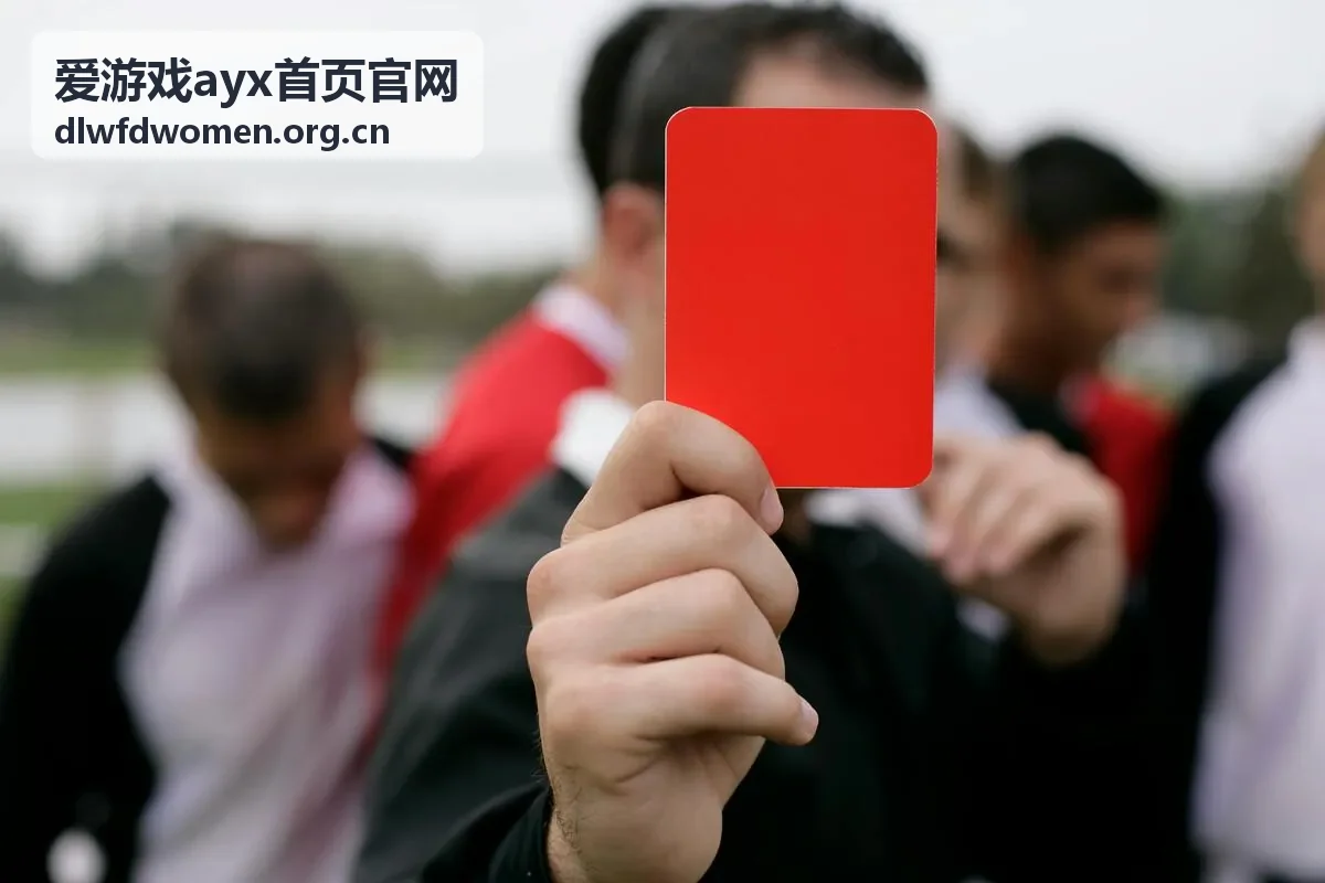 爱游戏ayx首页官网条目配图