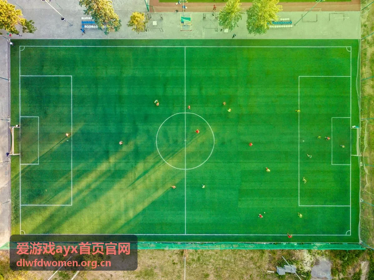 爱游戏ayx首页官网玩法说明配图